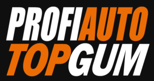 ProfiAuto Top Gum